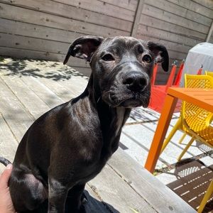 Meet your Posher, Conor